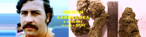 гашик Балахна