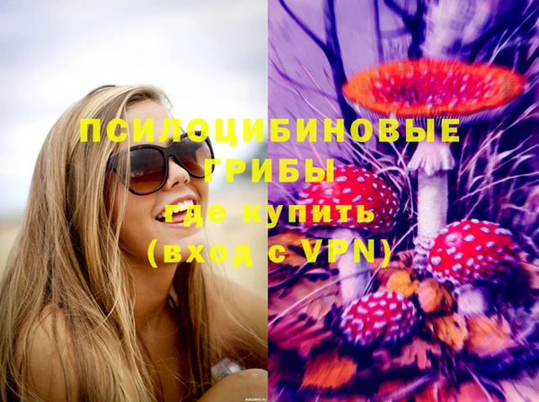 гашик Балахна